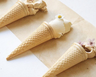 Lody Piwoniowe