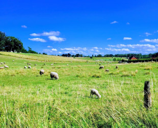 Dzika Warmia Gospodarstwo Agroturystyczne