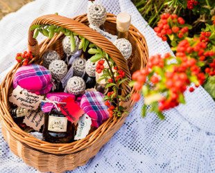 Festiwal Zi&oacute;ł w Zielarskiej Wsi Blanki 